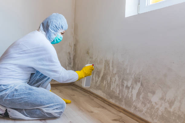 Hvac And Air Duct Mold Remediation inspection of HVAC system in Linden